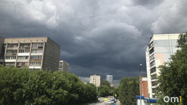 В Новосибирске нашествие мошек откладывается из-за погоды