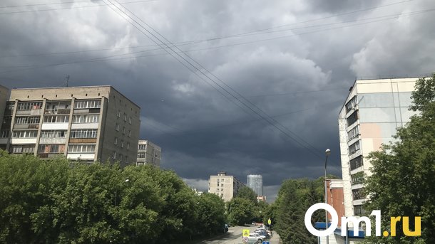 В Новосибирске нашествие мошек откладывается из-за погоды