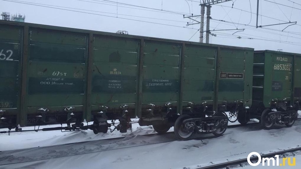 30 поездов застряли в Новосибирской области из-за железнодорожного ЧП