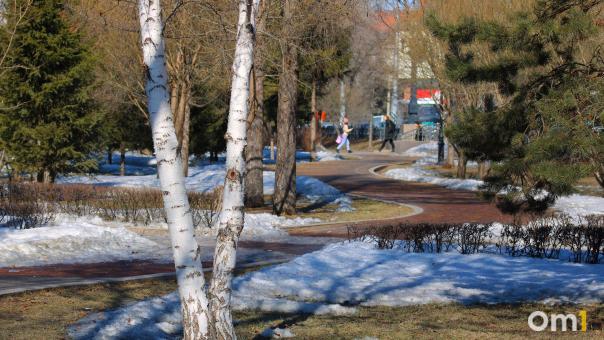 Минприроды за 2,2 миллиона будет готовиться к изменениям климата в Омской области
