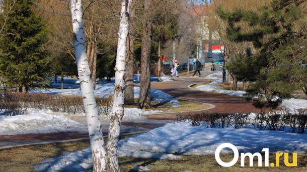 Минприроды за 2,2 миллиона будет готовиться к изменениям климата в Омской области