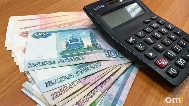 Куда уходят деньги? За полгода омичи заплатили 51 млрд рублей налогов