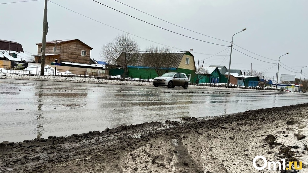 В мэрии Омска попросили автолюбителей сменить шины на зимние