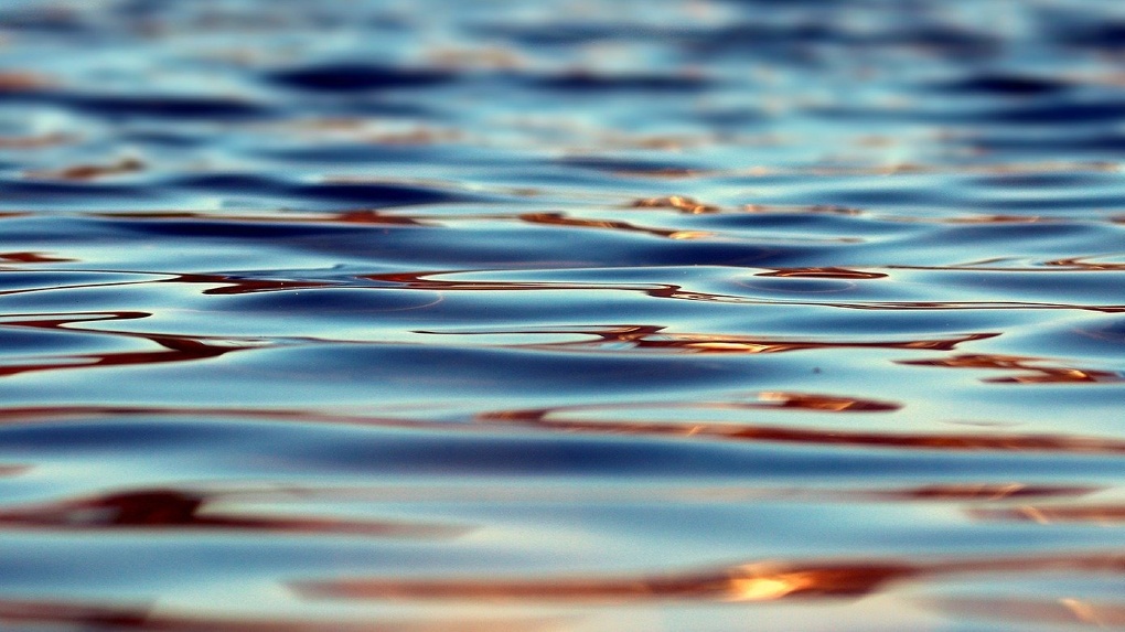 Девятилетний новосибирец утонул в Оби в районе пляжа «Бугринская роща»