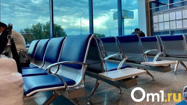 Бизнесмен Вексельберг построит аэропорт Омск-Фëдоровка