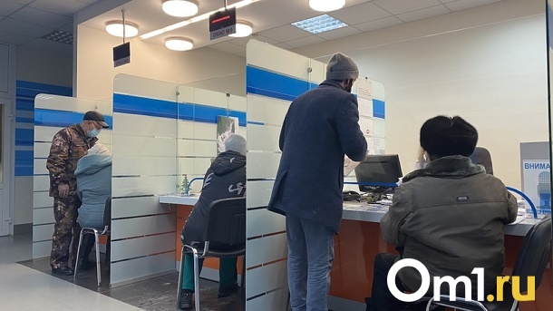 Гранты, льготы: какие меры господдержки получили новосибирские IT-компании в 2022 году