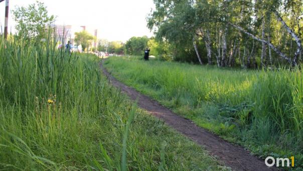 Клещи покусали уже 42 омичей