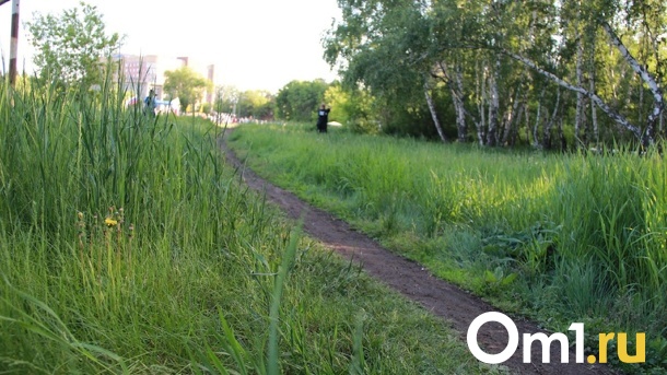 Клещи покусали уже 42 омичей