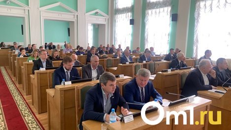 Депутаты недовольны тем, что в Омск приезжают только культурные туристы