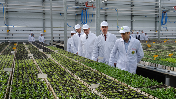 До 3 млрд рублей увеличился объём поддержки аграриев Новосибирской области