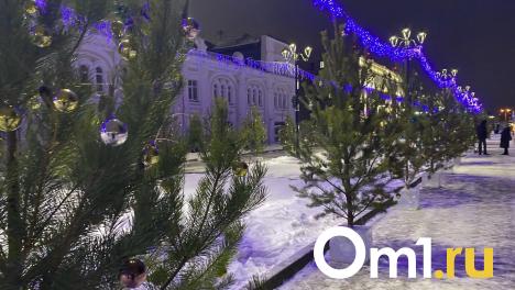 Омичам рассказали, какое наказание грозит за срубленную ёлку