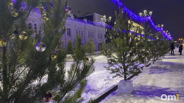 Омичам рассказали, какое наказание грозит за срубленную ёлку