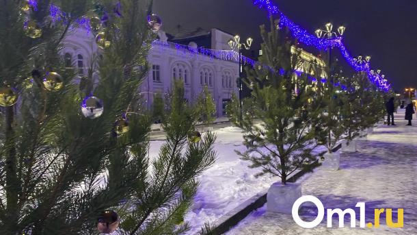 Омичам рассказали, какое наказание грозит за срубленную ёлку