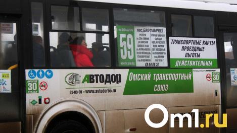 Чтобы уехать из приюта «Друг», омичи идут пешком две остановки по тёмным закоулкам