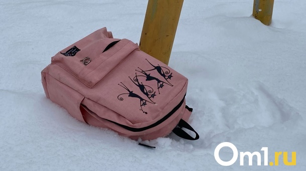 Омских школьников массово переводят на дистант с 7 февраля