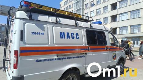 Врачи вызывали спасателей МАСС несколько раз за сутки в Новосибирске
