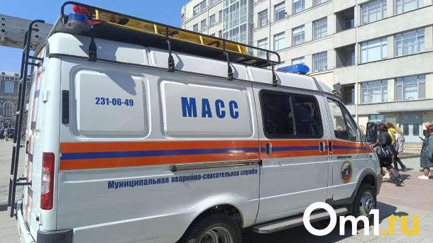 Врачи вызывали спасателей МАСС несколько раз за сутки в Новосибирске