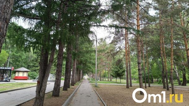 В Новосибирской области проголосуют за новые объекты благоустройства в дни выборов