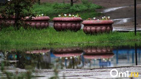 В Омске резко похолодает до +7: что ждать от первых дней августа?