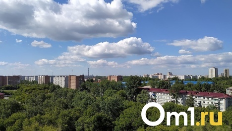 Срочно! В Омске пропал ребёнок, который плохо контактирует с людьми
