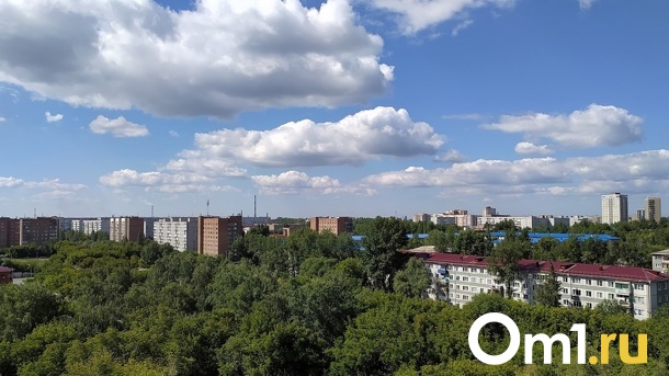 Срочно! В Омске пропал ребёнок, который плохо контактирует с людьми