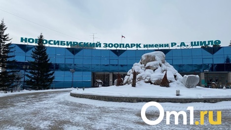 Холода затянулись? Животные новосибирского зоопарка не могут выйти из спячки