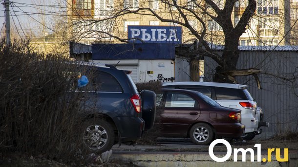 Омичи заплатят более 8 миллионов рублей за парковку на газоне