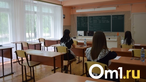Только один выпускник в Омске смог сдать ЕГЭ по обществознанию на 100 баллов