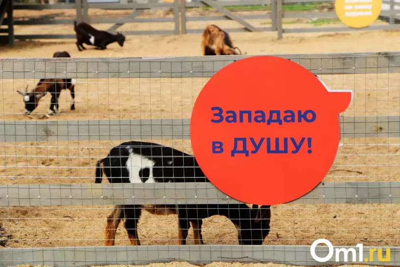 Изображение фоторепортажа