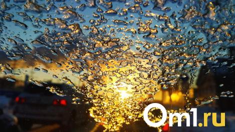 Репетиция весны: в Омскую область пришла оттепель из Атлантики