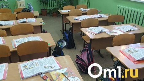 В Новосибирской области построят 22 новых школы к 2025 году