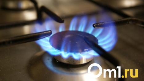 Более тысячи домов на севере Омской области остались без газа из-за аварии