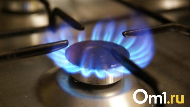 Более тысячи домов на севере Омской области остались без газа из-за аварии