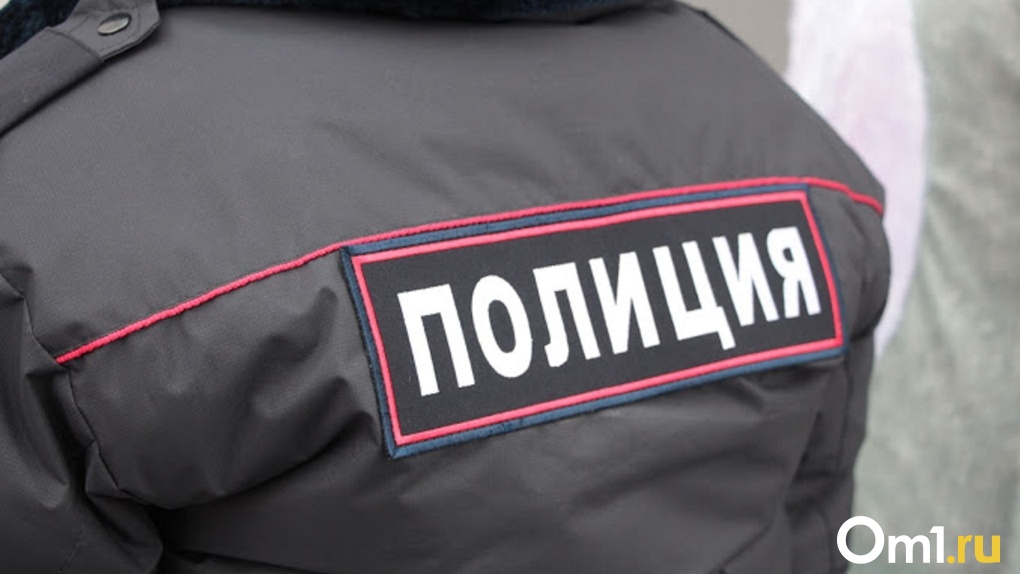 «Левобережного маньяка» в Омске лишили свободы на два месяца