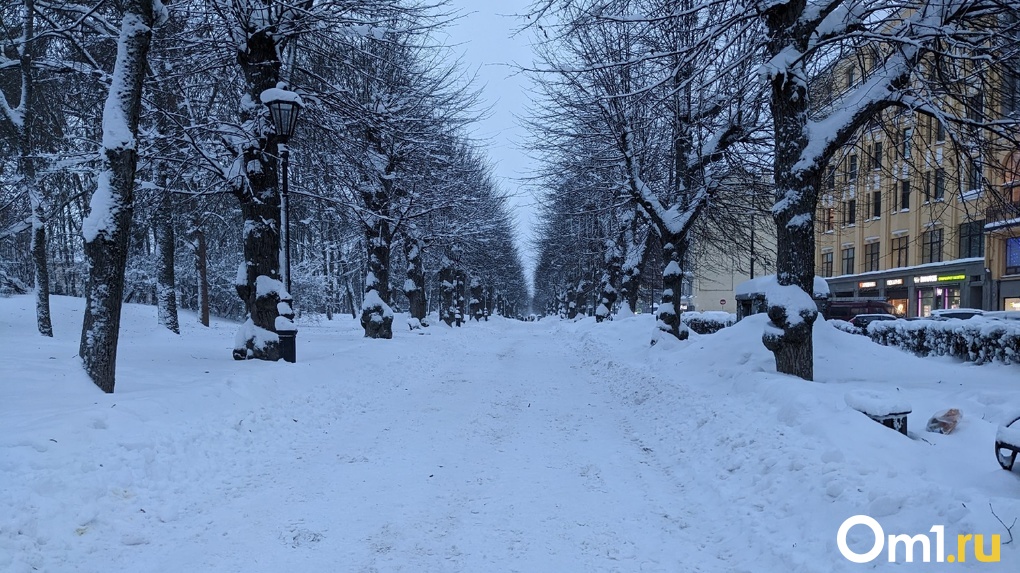 Штормовое предупреждение в Омске из-за снегопада и метели продлили на два дня