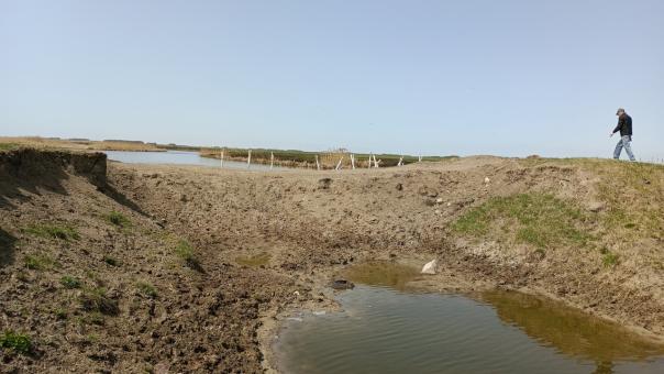 В Омской области уберут незаконную плотину на реке Оша