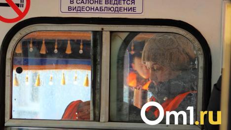Дептранс пояснил, почему не все омичи сумели вернуть деньги за переплаченный проезд