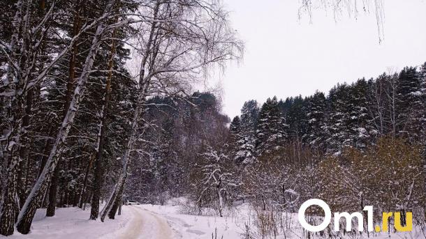 В Омской области начался зимний учёт диких животных