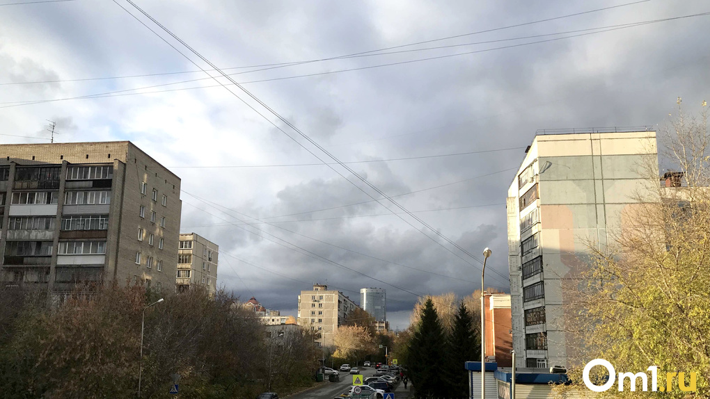 Гнёт деревья и срывает крыши: на Новосибирск обрушится шторм со снегом и дождём