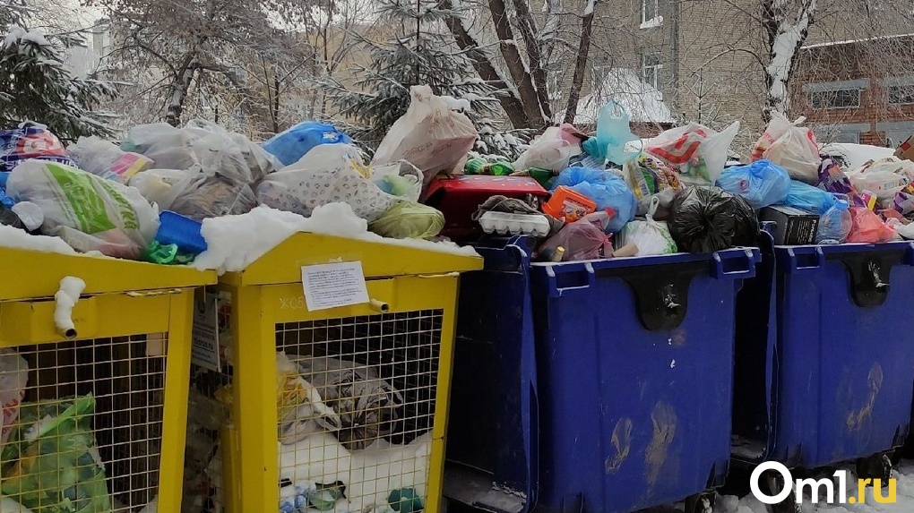 Шесть мусоросортировочных комплексов построят в Новосибирской области по концессии