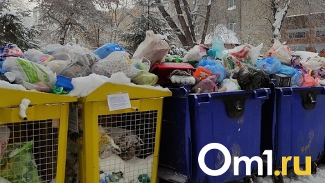 Шесть мусоросортировочных комплексов построят в Новосибирской области по концессии