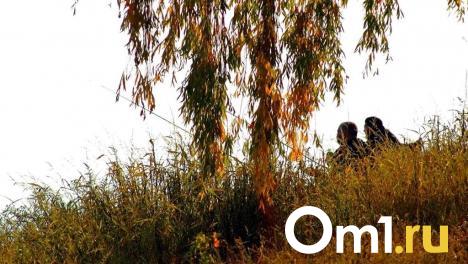 Омич лишился моторной лодки и более 60 тысяч за незаконную ловлю рыбы