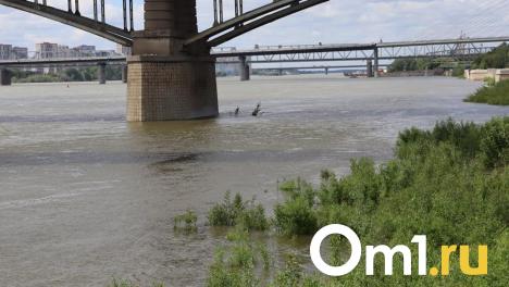 В Омской области отремонтируют ещё один мост