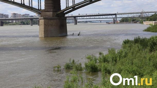 В Омской области отремонтируют ещё один мост