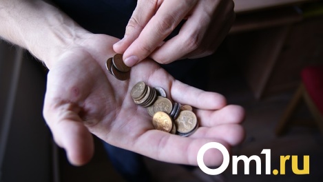 Экономисты из Омска оценили возможность наступления дефолта в России