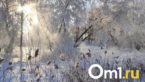 Крещенские морозы придут в Омск с опозданием: прогнозируется до -30