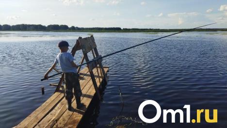В старице под Омском поймали гигантскую щуку