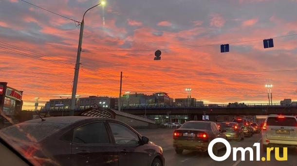 С сентября омские водители будут проходить медосвидетельствование на опьянение по новым правилам