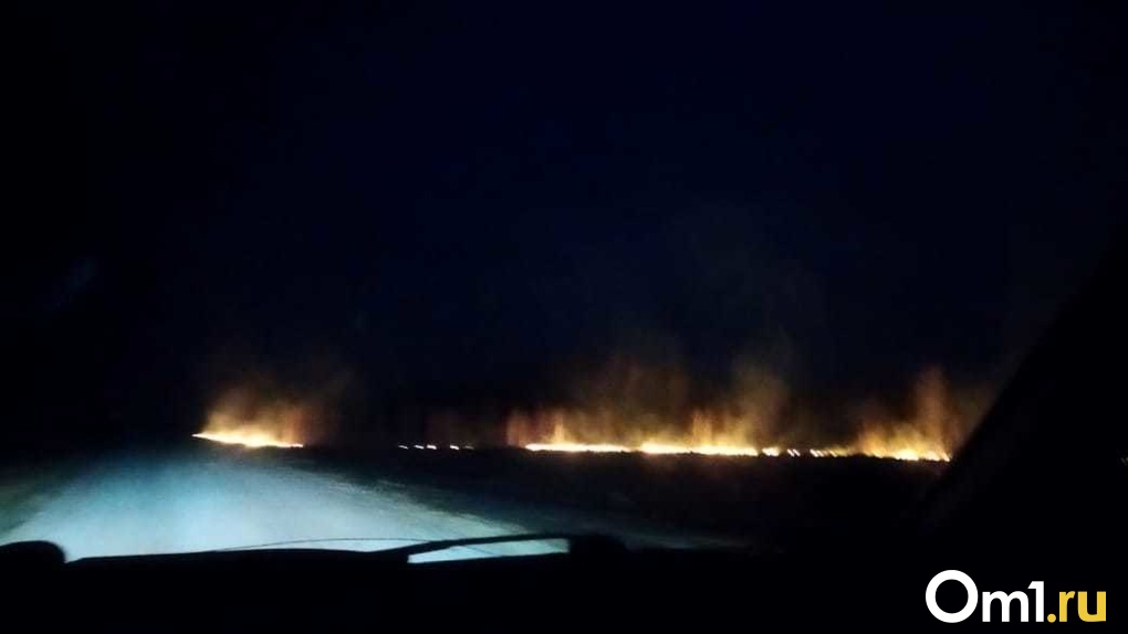 «Лоси выбегали из леса»: крупный природный пожар заметили очевидцы в Новосибирской области. ВИДЕО