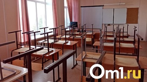 В омских школах со следующей недели начнутся каникулы
